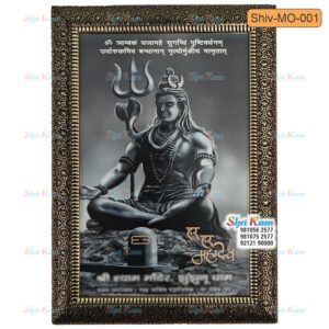 SHIV-MO-001